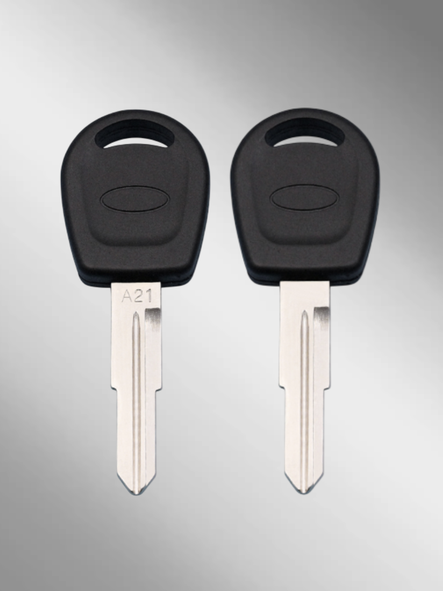 Заготовка с местом под чип для Chery A21 (5 шт.) 