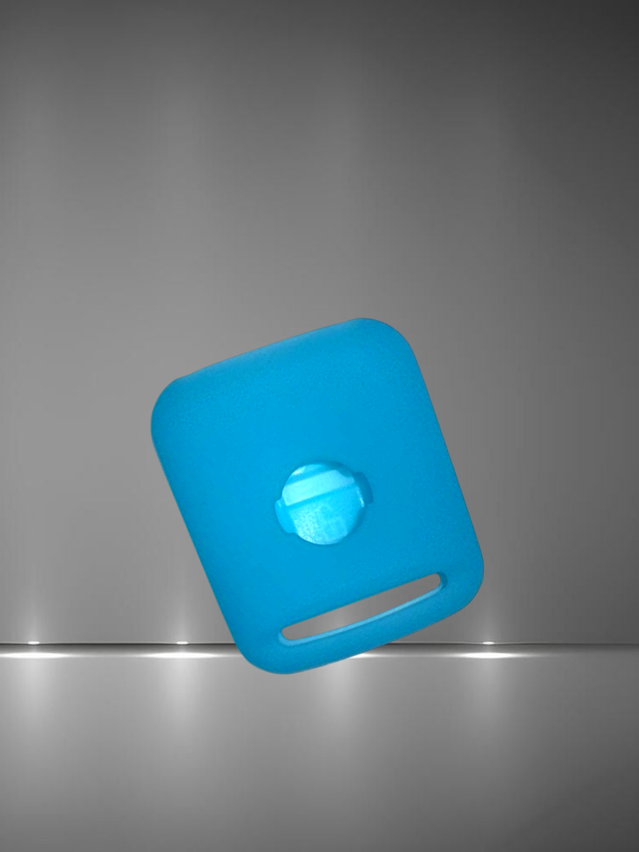 Чехол для ключа NISSAN 2 кнопки синий