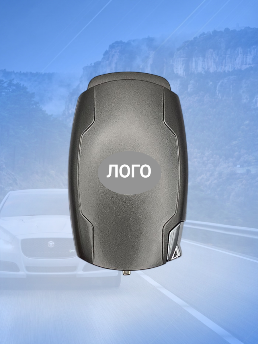 Корпус смарт ключа с лезвием TOY2 для BYD 	 BYDTOY2