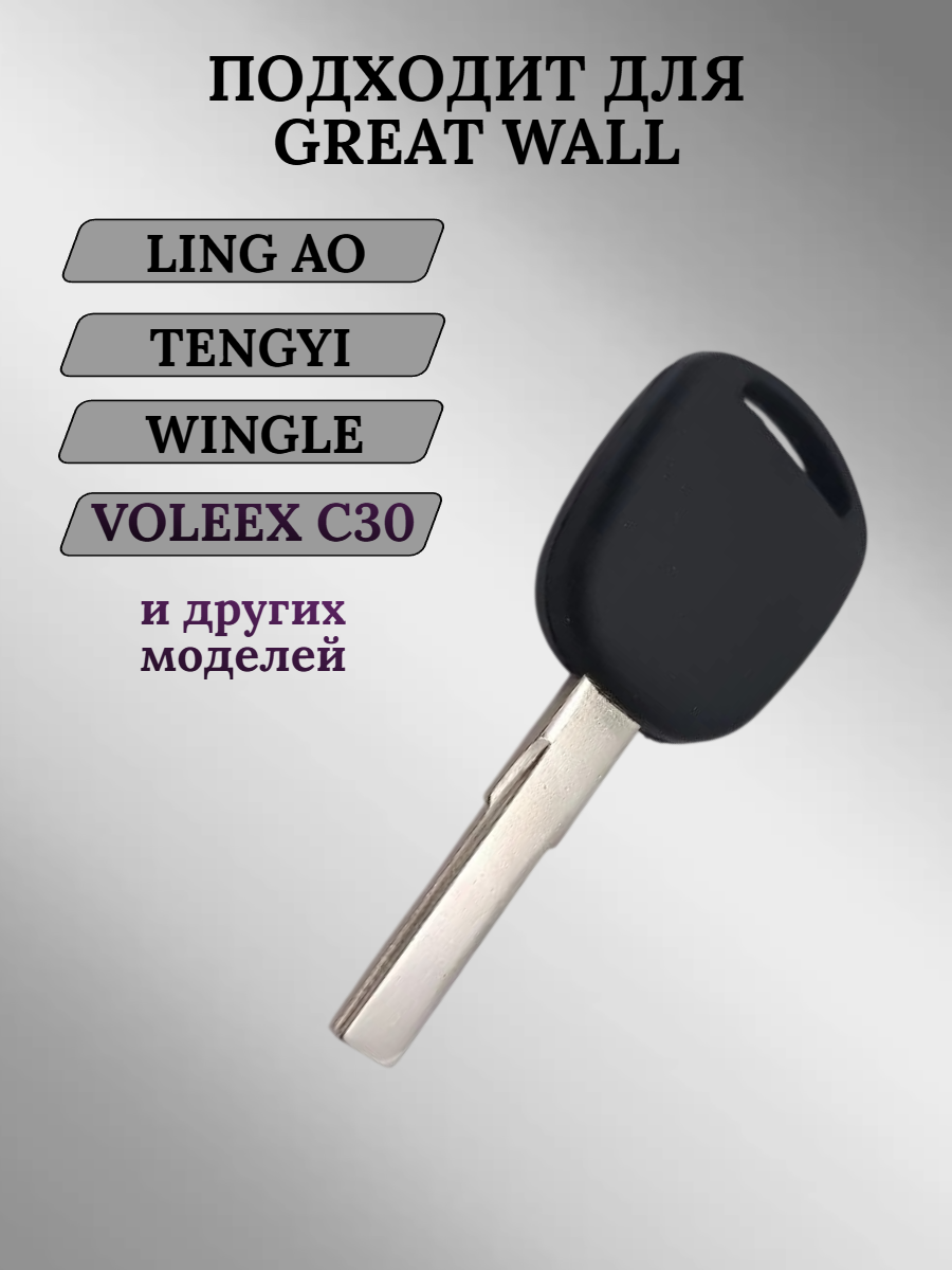 Заготовка с местом под чип для Great Wall HU66 (5шт.) 