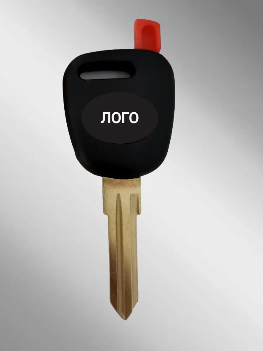 Заготовка с местом под чип для Лада (5шт.) 