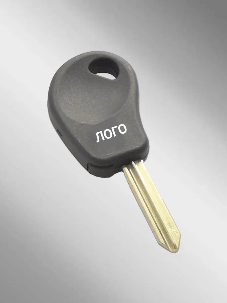 Заготовка с местом под чип для Citroen Ситроен (1 шт.) 