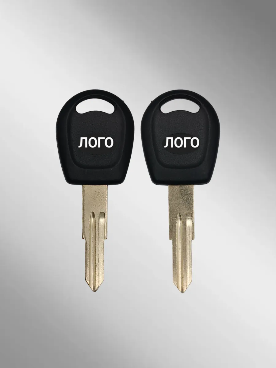 Заготовка с местом под чип для Chery (1 шт.) 