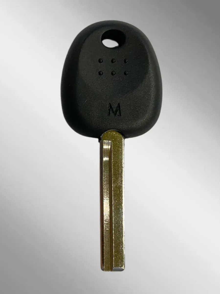 Заготовка с местом под чип лезвие HYN20R для HYUNDAI (5шт.) 